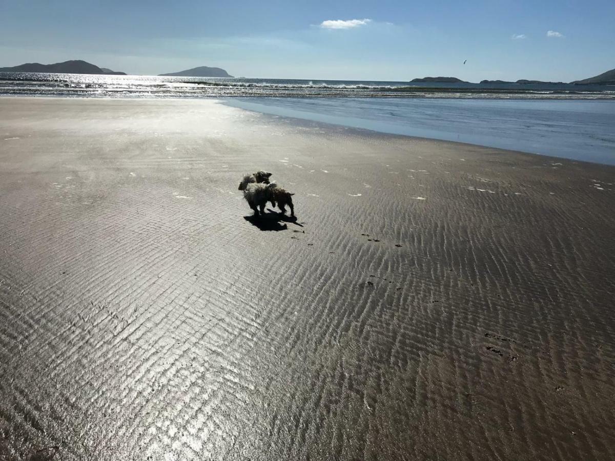 Skellig Port - 2 Bed